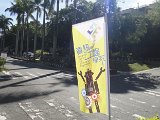 DSC00942.JPG