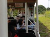 IMG_4381.JPG